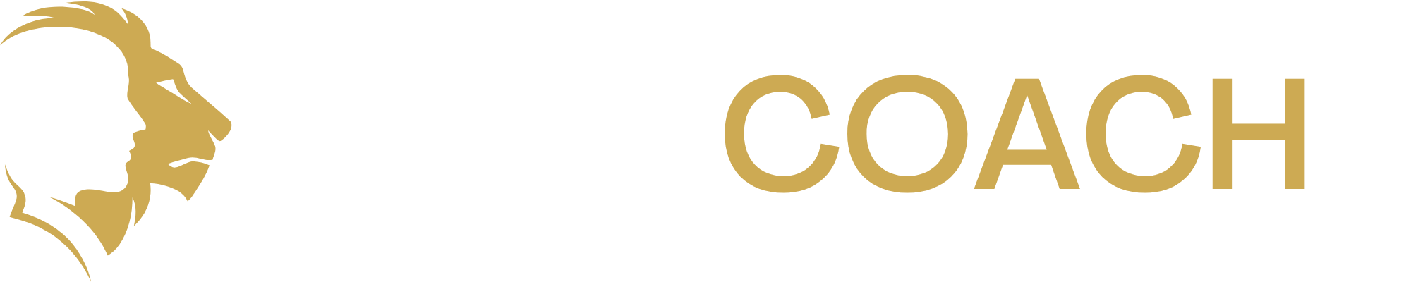 NEGOCOACH · Business Coaching